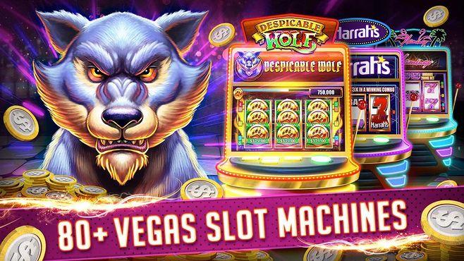 bet999 online casino